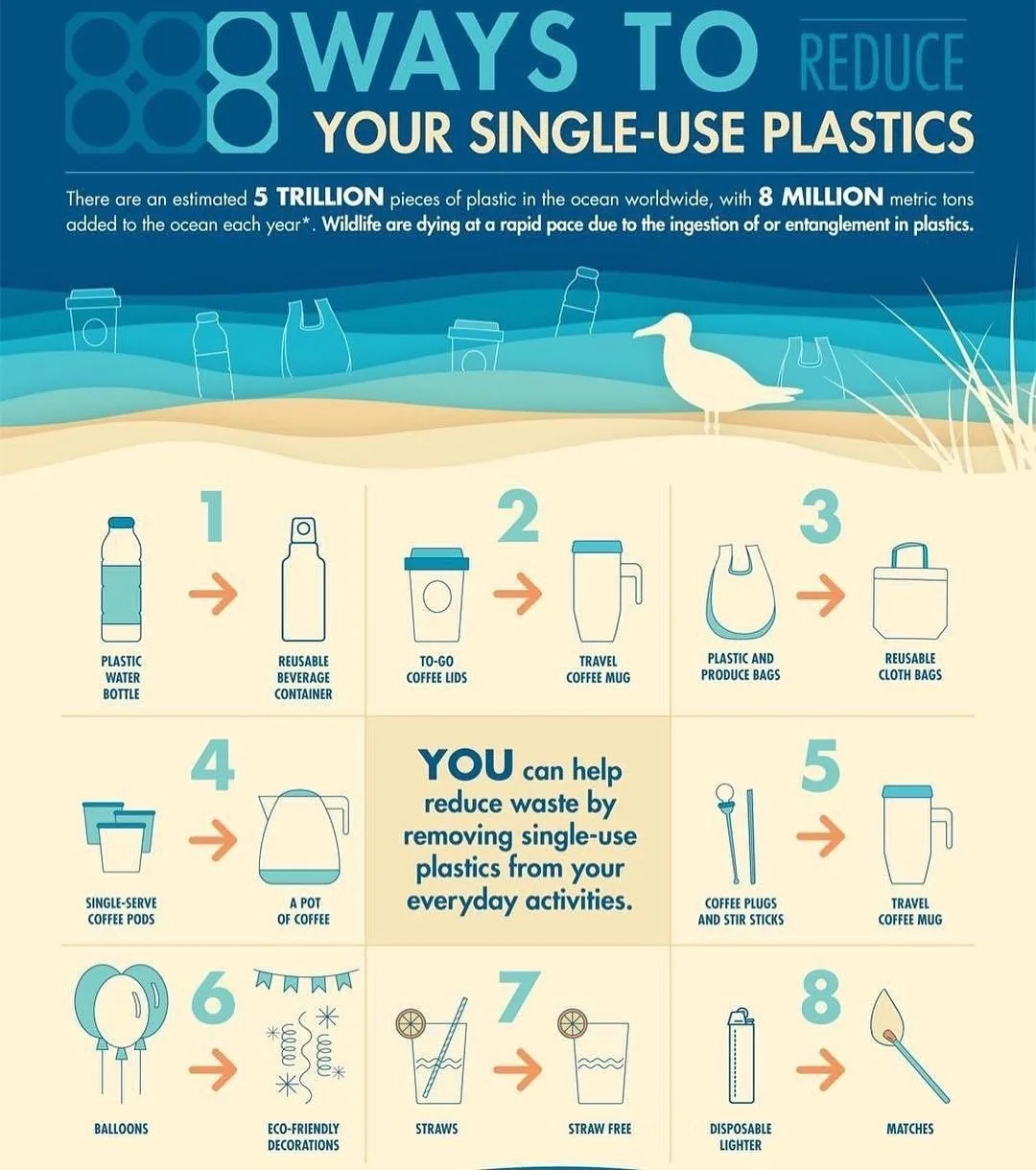8 Tipps zur Vermeidung von Einweg-Plastik