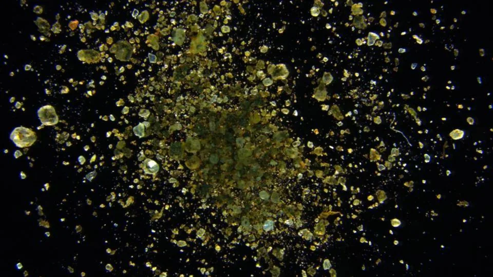 Microplastics in sandy soil