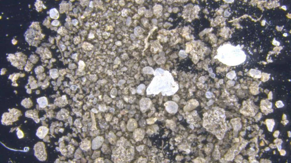 Pollution from microplastics in the sea