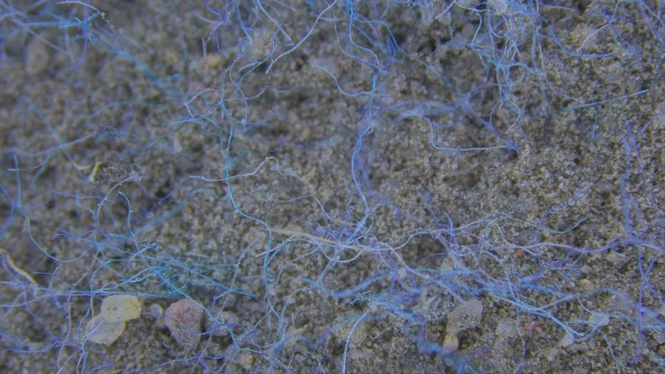 Microplastics in the soil, pollution