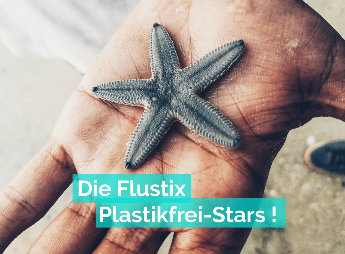 Ein Seestern wird von einer Hand gehalten, Titel: Die Flustix Plastikfrei-Stars