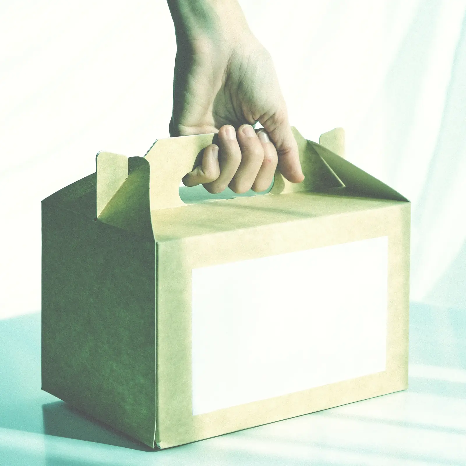 A hand carrying a folding carton box with a blank label panel