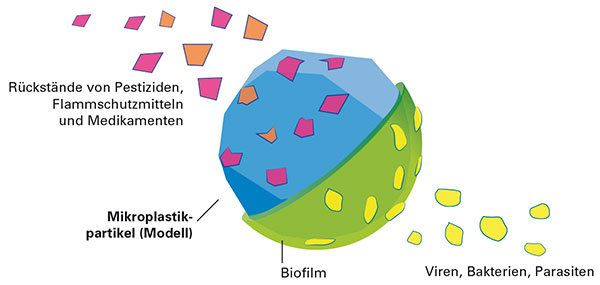 Grafik Mikroplastik Medikamente