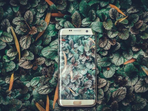 Ein Smartphone liegt auf grünen Blättern; das Titelbild für den Blogbeitrag Apps um dein Leben nachhaltiger zu gestalten