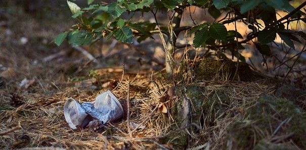 Plastikbecher liegt im Wald auf dem Boden